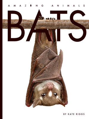 cover image of Bats